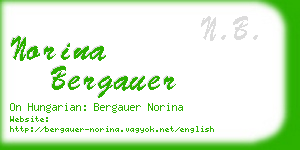 norina bergauer business card